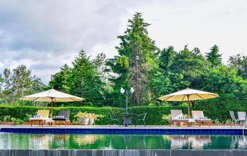 ホテル Kirchhayn Bungalow