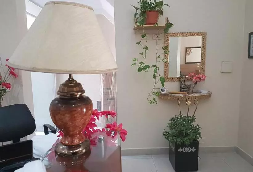 هتل San Carlos