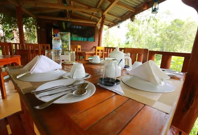 Hotel Tea Forest Lodge
