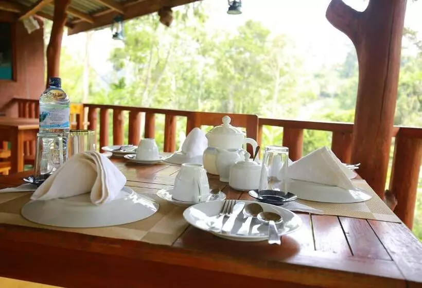 Hotel Tea Forest Lodge