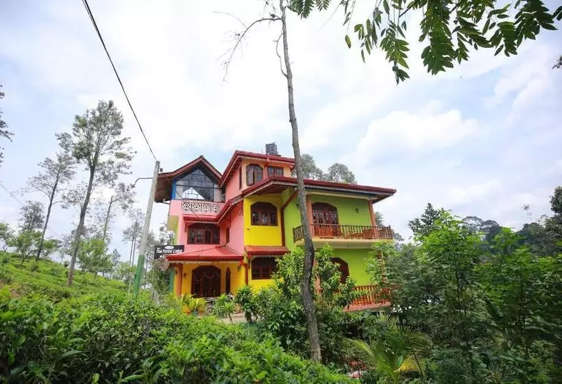 Hotel Tea Forest Lodge