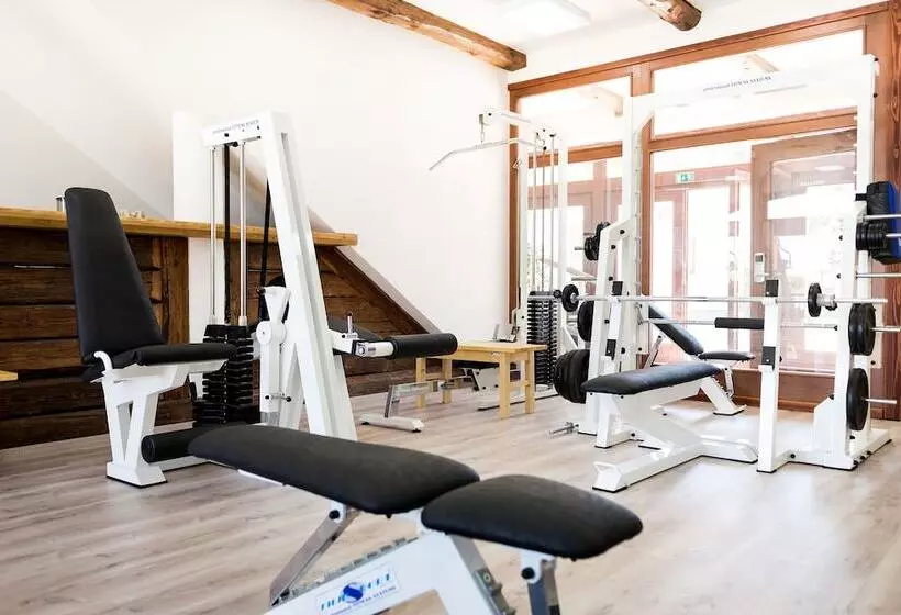 リゾートホテル Wellness Hotel & Minipivovar Kněžínek