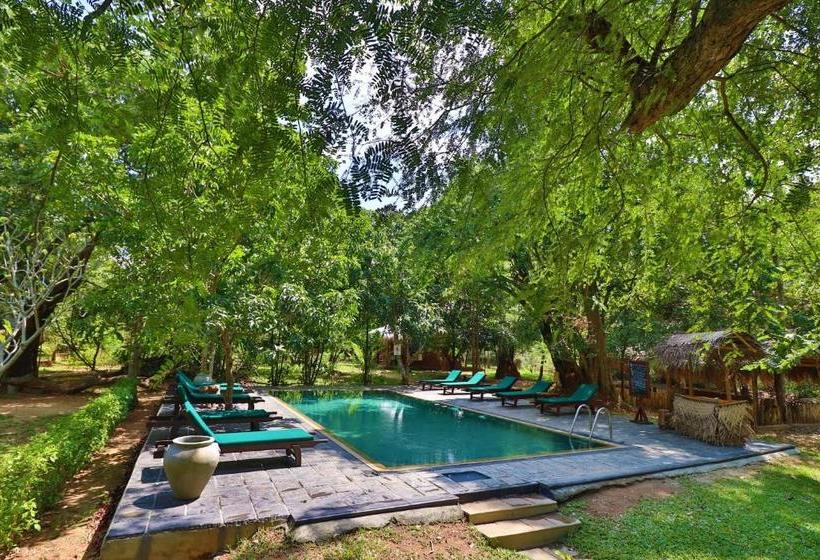 منتجع The Other Corner Habarana