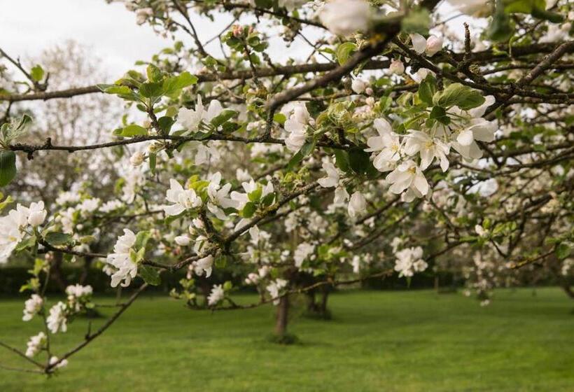 هاستل Anna´s Bed & Kitchen