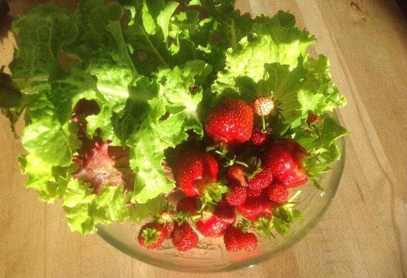 Bed & Breakfast Villa Sedin