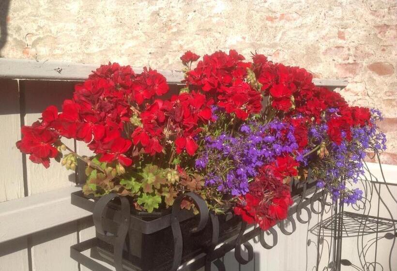 Bed & Breakfast Villa Sedin