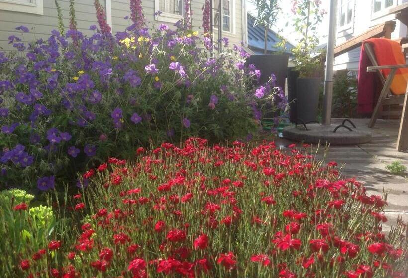 Bed & Breakfast Villa Sedin