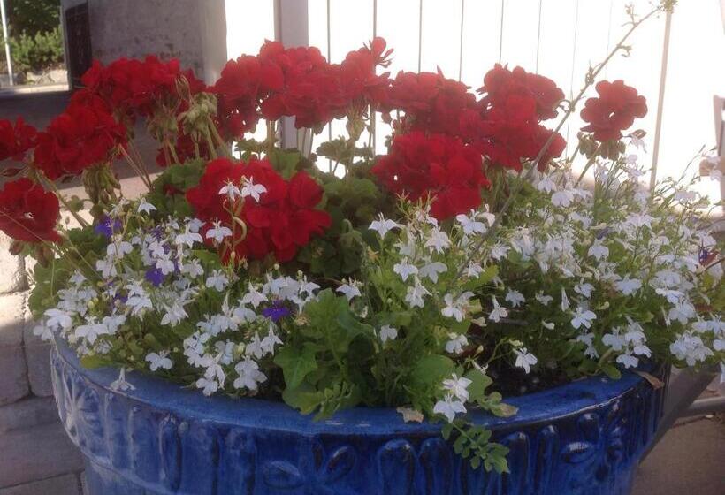 Bed & Breakfast Villa Sedin