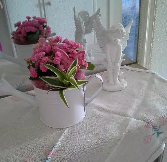 Gällivare Bed & Breakfast