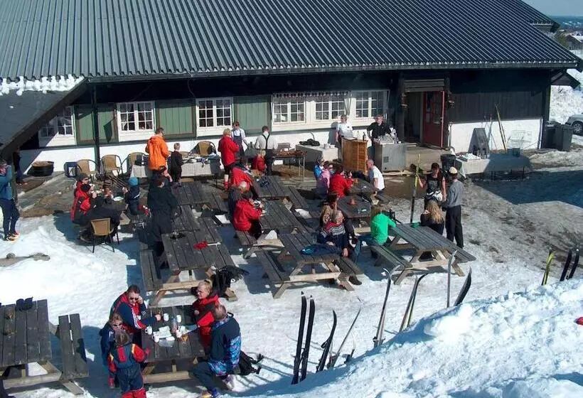 ホテル Gomobu Fjellstue
