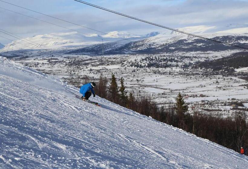 酒店 Gomobu Fjellstue