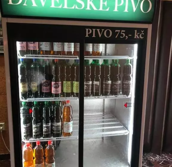 Hotelli V Pivovaře Davle