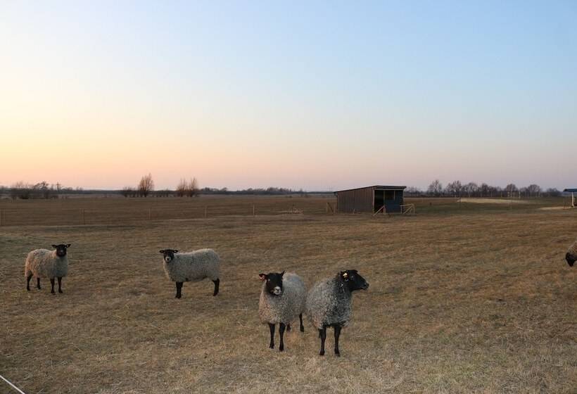 Kärraton Vandrarhem   Hostel