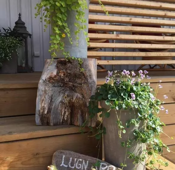 Lilla Hotellet