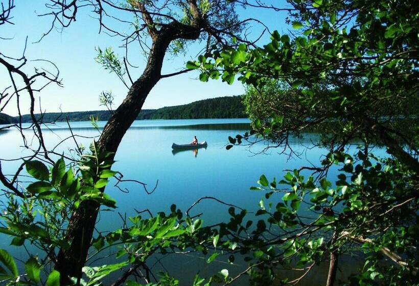 Woodstock B & B Studios