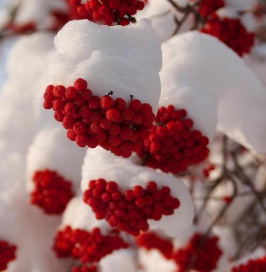 Woodstock B & B Studios