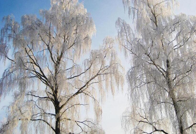 Woodstock B & B Studios