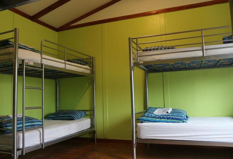 旅馆 Matterhorn South Lodge