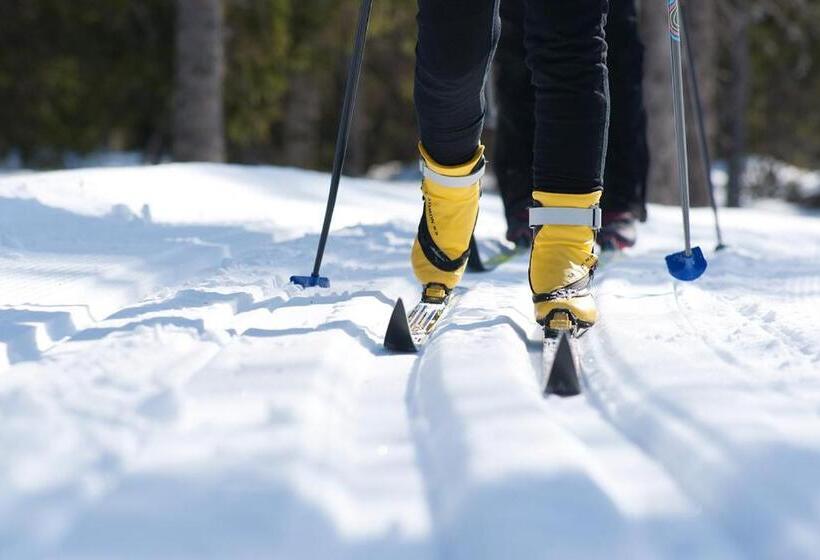 הוסטל Saxnäsgården Hotell & Konferens