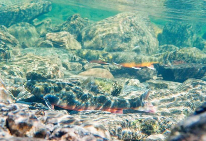 הוסטל Saxnäsgården Hotell & Konferens