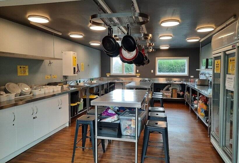 הוסטל The Black Sheep Backpackers