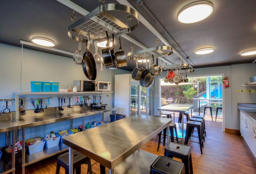 הוסטל The Black Sheep Backpackers