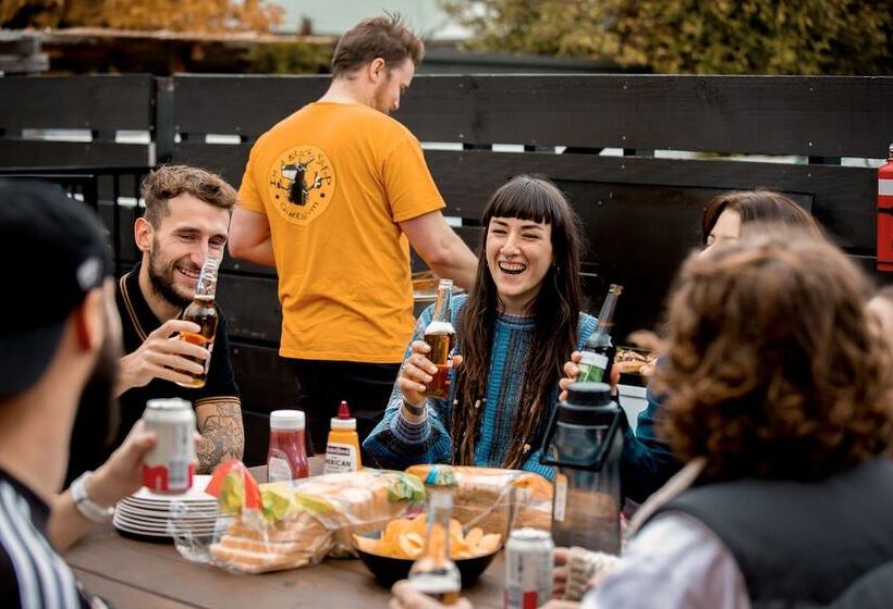 הוסטל The Black Sheep Backpackers