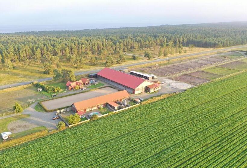 مبيت وإفطار Lindelunda