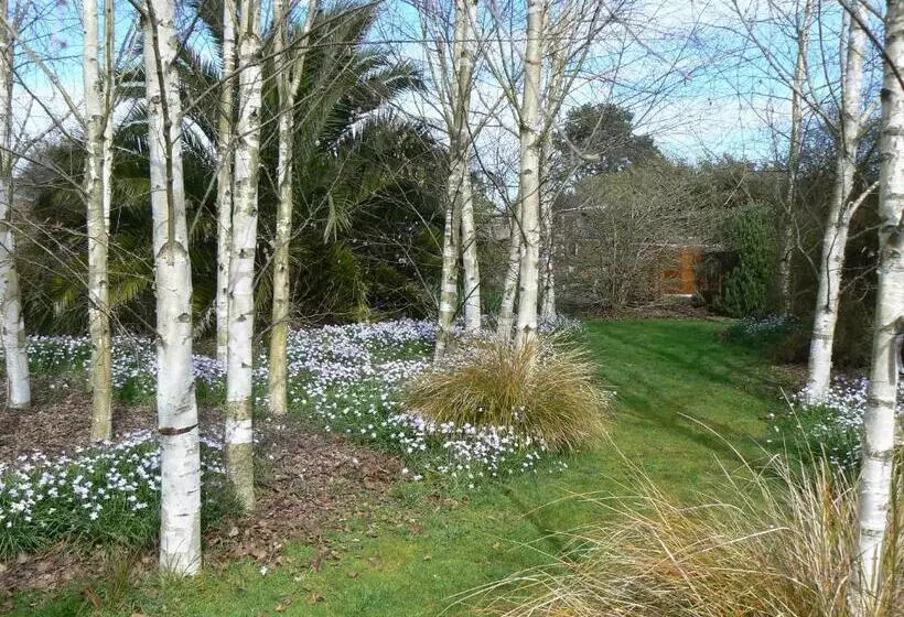 Aamiaismajoitus (B&B) Te Mata Views Resort