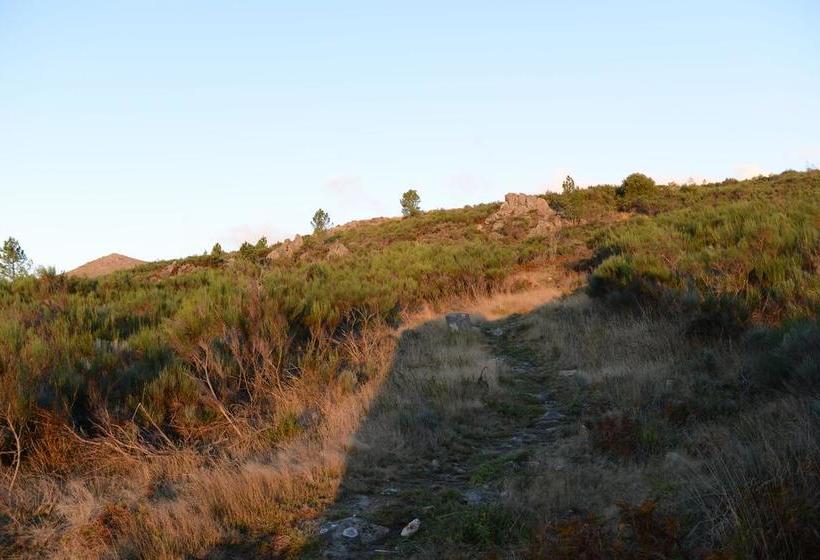 تختخواب و صبحانه Terra Mista Alojamento Local