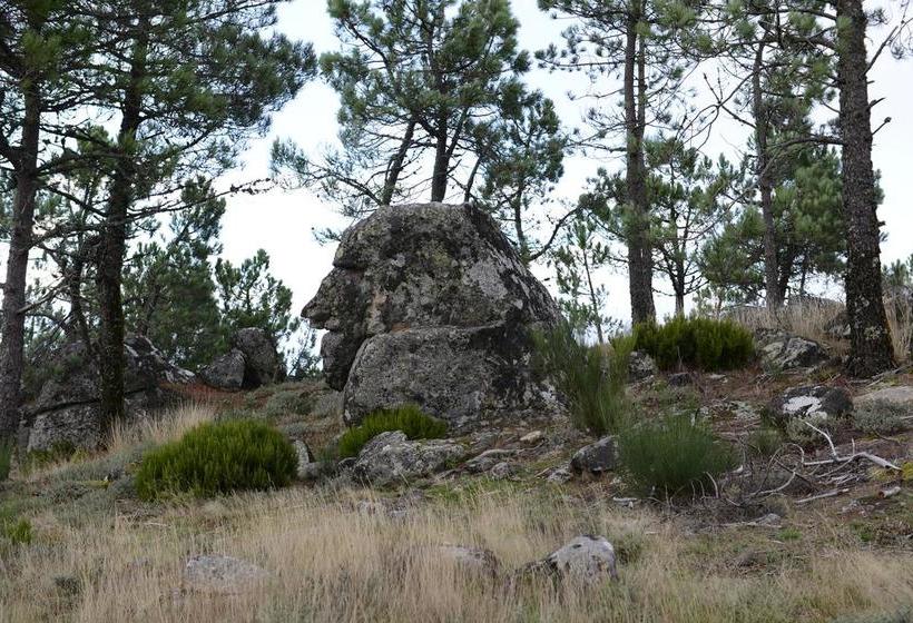 تختخواب و صبحانه Terra Mista Alojamento Local