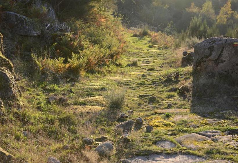 تختخواب و صبحانه Terra Mista Alojamento Local