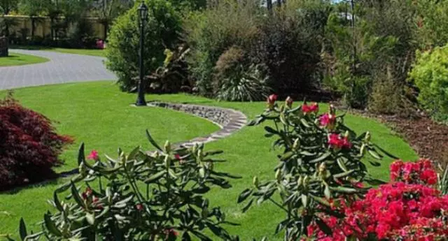 Aamiaismajoitus (B&B) Tui Lodge