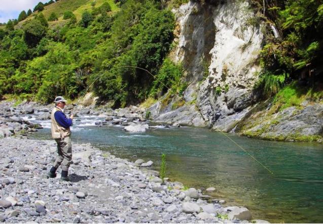 مبيت وإفطار Tui Lodge