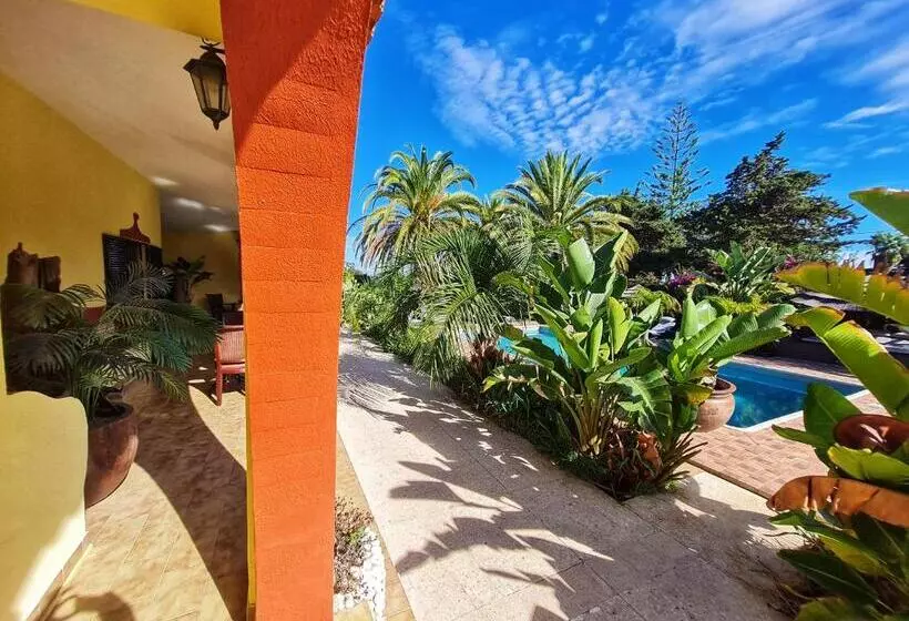 ベッドアンドブレックファースト Villa Paraiso   Naturism Optional Adults Only