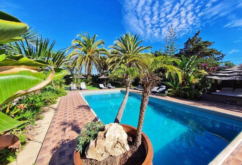 ベッドアンドブレックファースト Villa Paraiso   Naturism Optional Adults Only