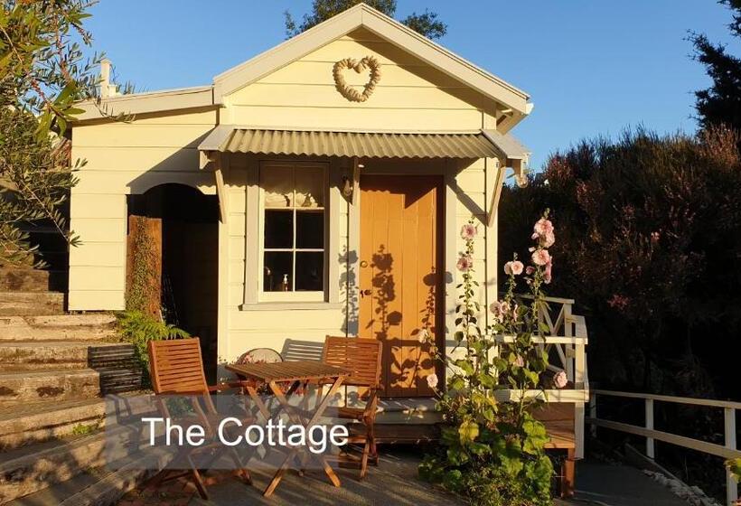 Bluff Hill Bed & Breakfast