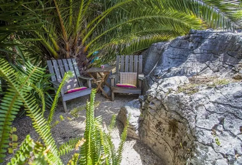 モーテル The Rocks Chalets