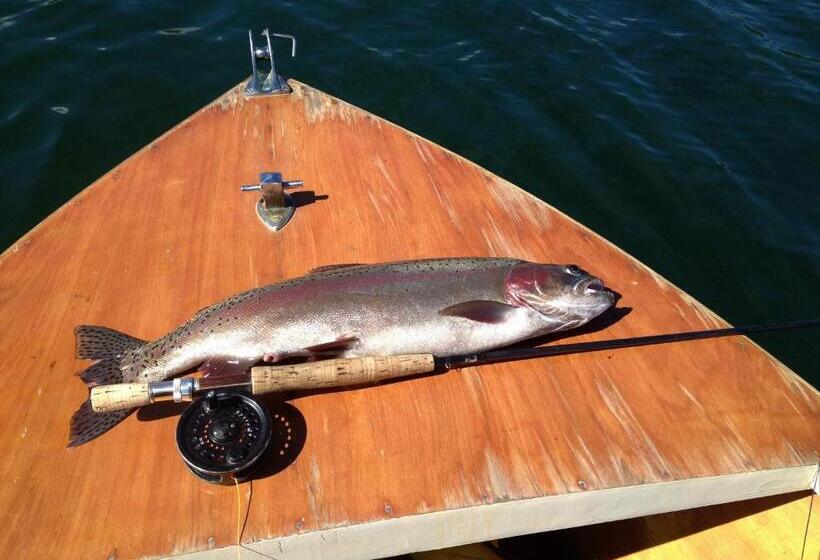 Rainbow Motel & Hot Pools