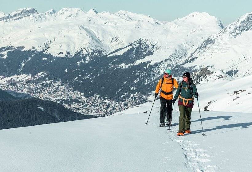 旅馆 Spenglers Inn