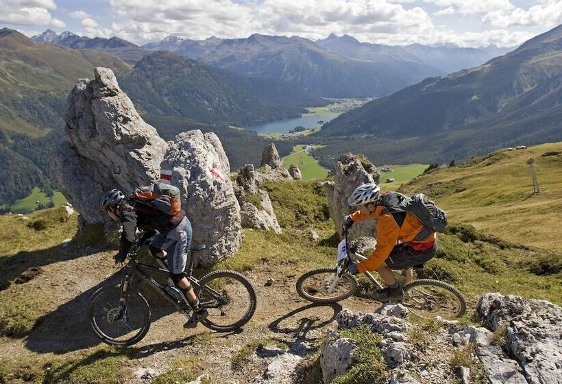 旅馆 Spenglers Inn