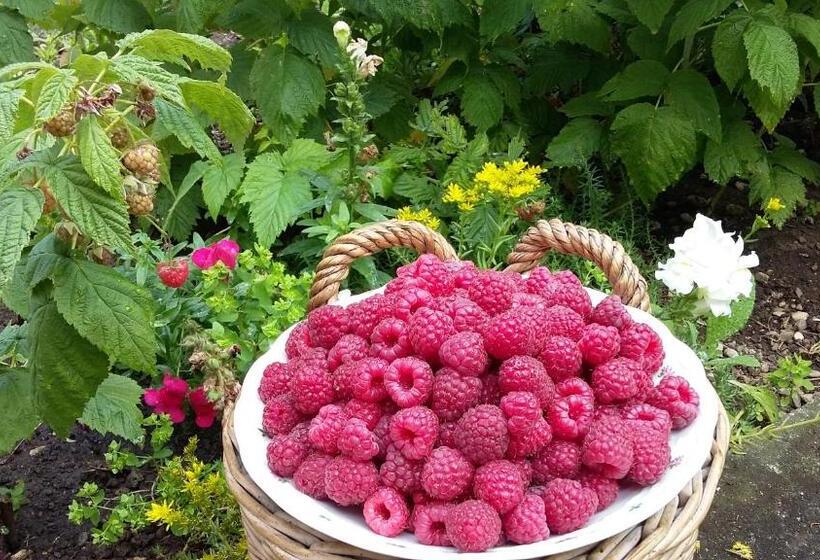 B&b Kalimera Pratteln