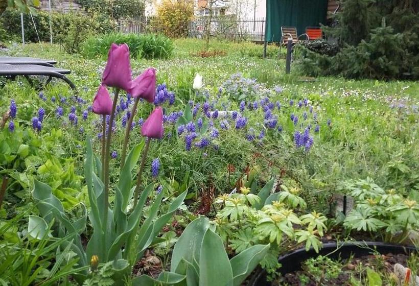 B&b Kalimera Pratteln