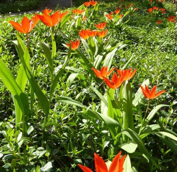 צימר Chez Jean Et Daisy