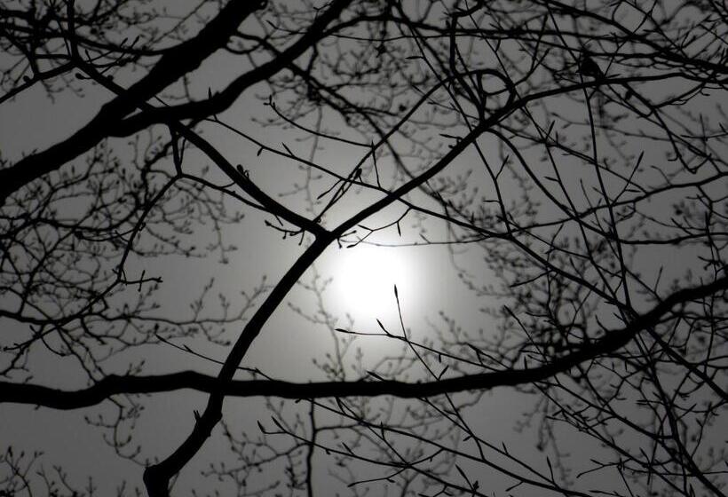 צימר Chez Jean Et Daisy