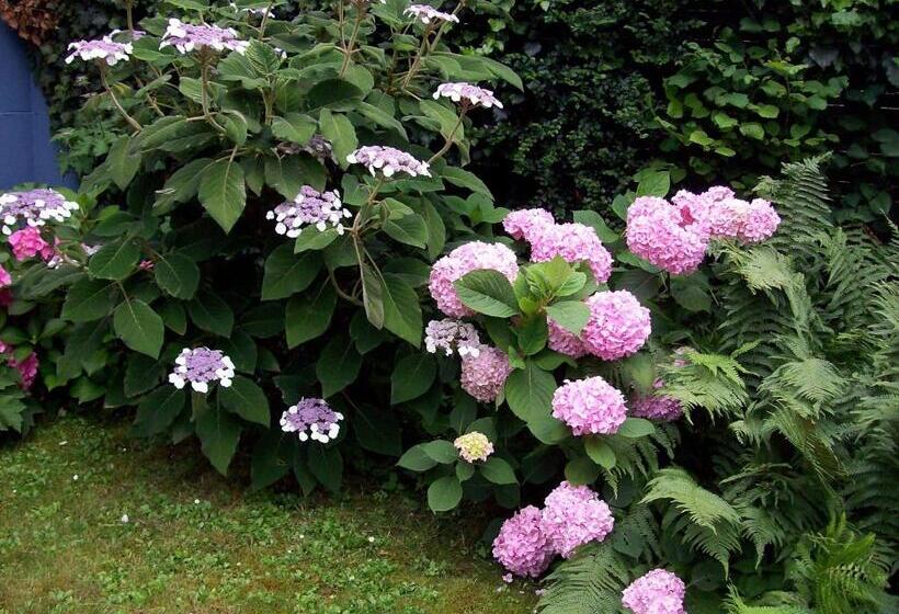 צימר Chez Jean Et Daisy