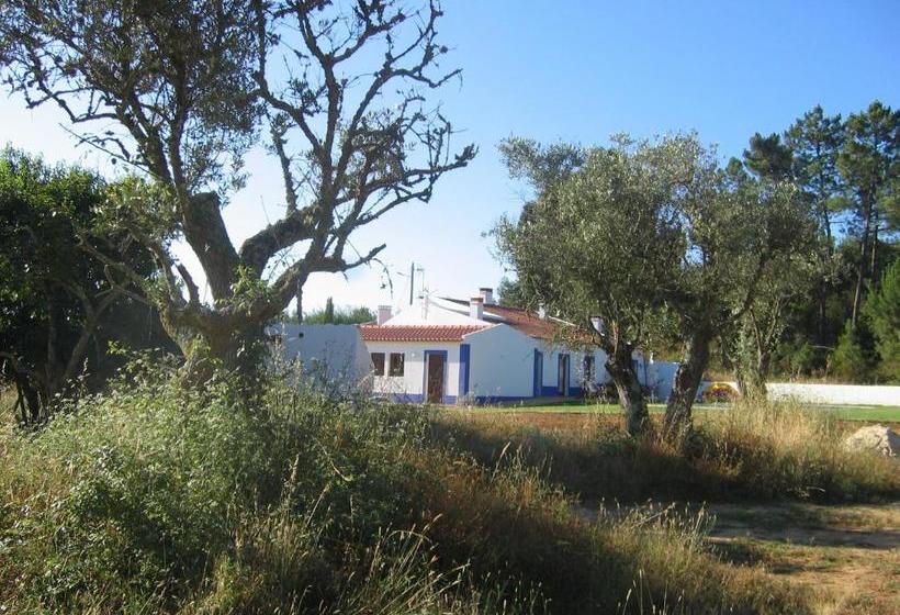 ベッドアンドブレックファースト The New Laziness