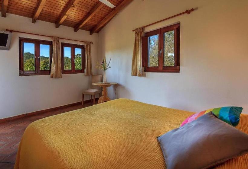 ベッドアンドブレックファースト The New Laziness