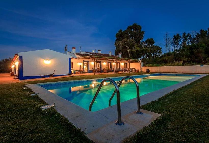 ベッドアンドブレックファースト The New Laziness