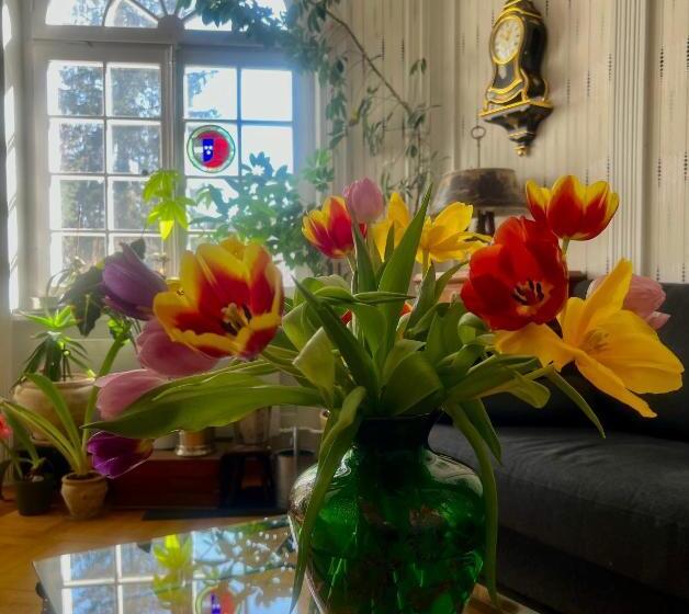 Bed And Breakfast Wildrose